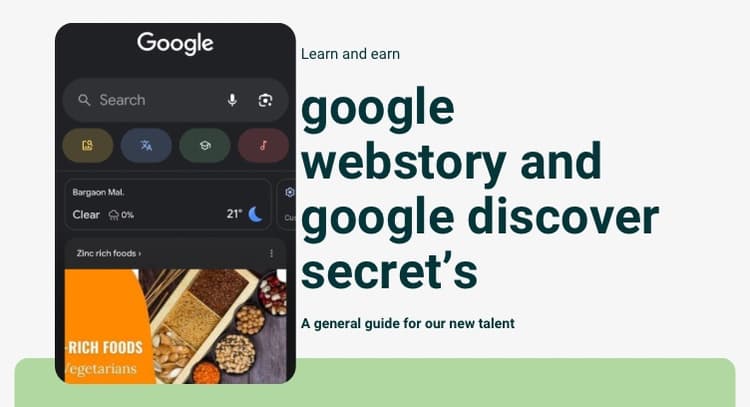 livesession | Google webstory and google discover secret